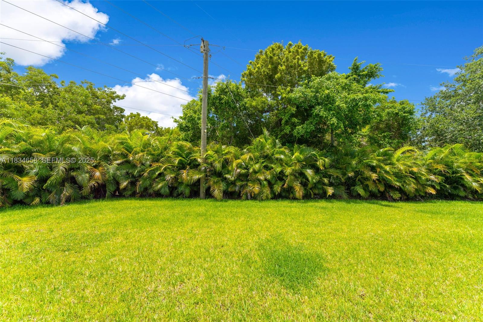 8220 Southwest 193rd Terrace Cutler Bay, FL 33157 - Photo 40 of 59 a view of a green yard