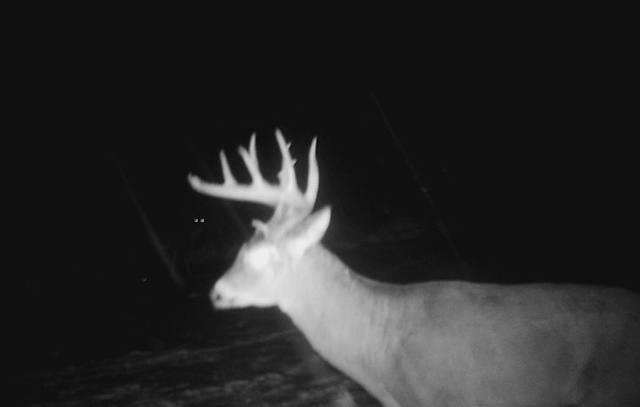 6701 Koski Road Tower, MN 55790 - Photo 35 of 37