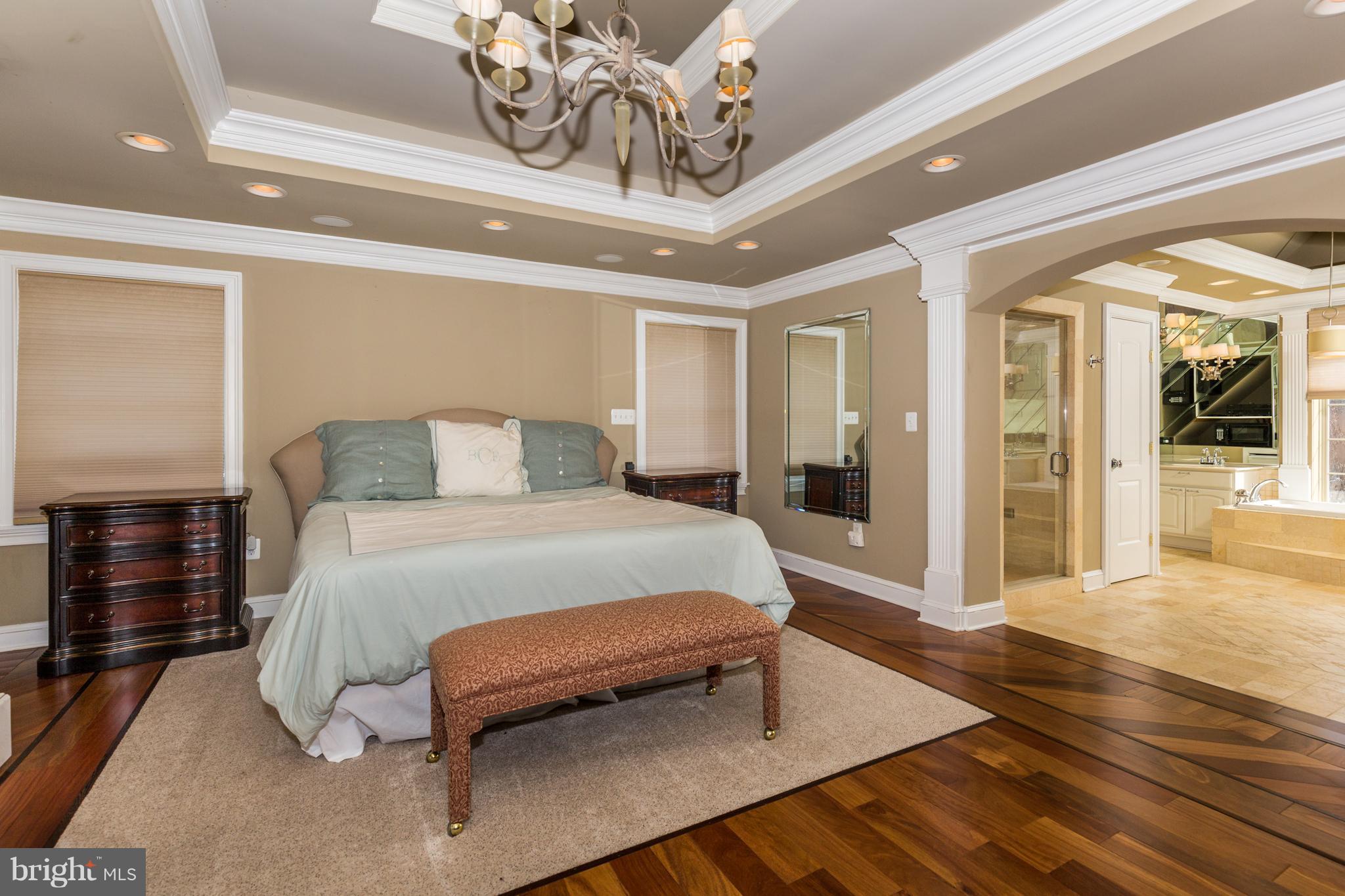 13915 Mack Road Reisterstown, MD 21136 - Photo 20 of 30 Opens to Spa Like Bathroom
