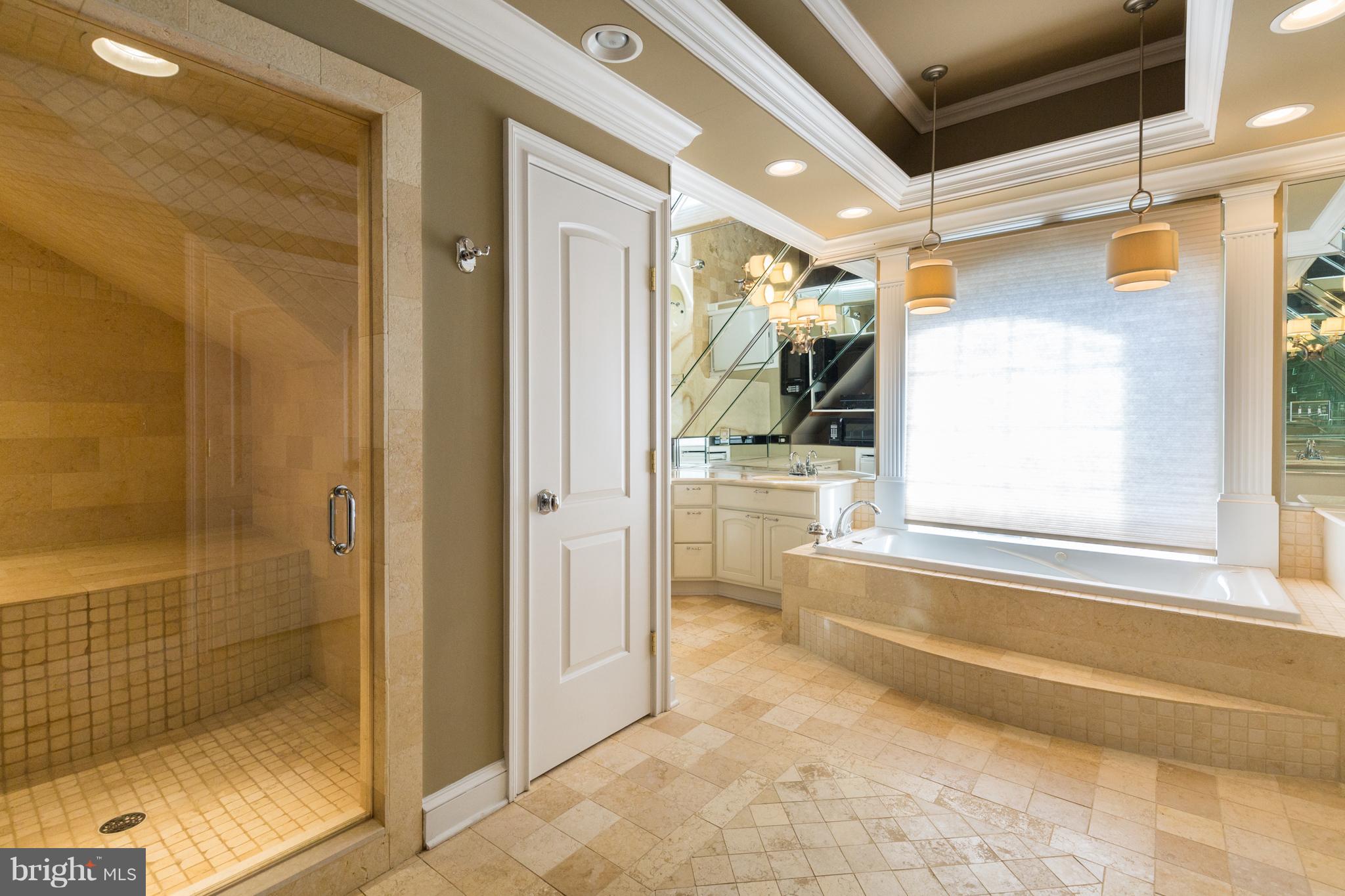 13915 Mack Road Reisterstown, MD 21136 - Photo 21 of 30 Large Steam Shower