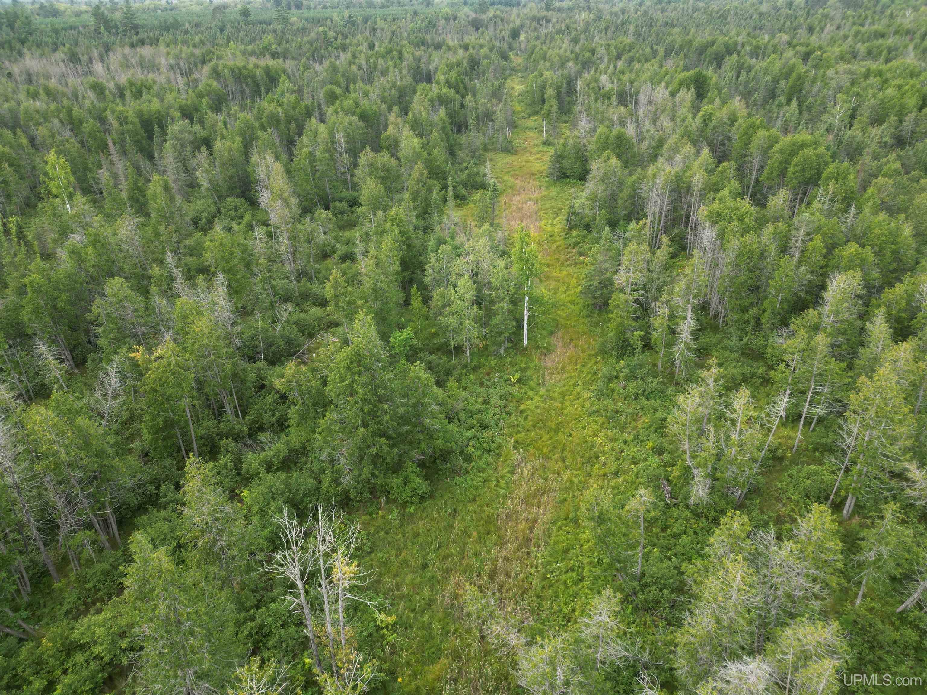 Tbd Tbd County Road, Unit 1 Cornell, MI 49818 - Photo 2 of 41