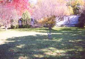 Rd#3 Mountain Road Stroudsburg, PA 18360 - Photo 1 of 1 Listing Photo