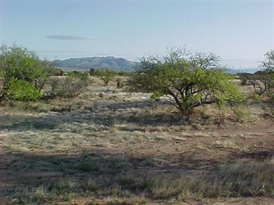 0 West Thunder Pass Road Benson, AZ 85602 - Photo 3 of 3