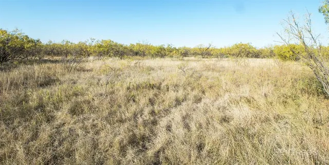 a view of lake and mountain
