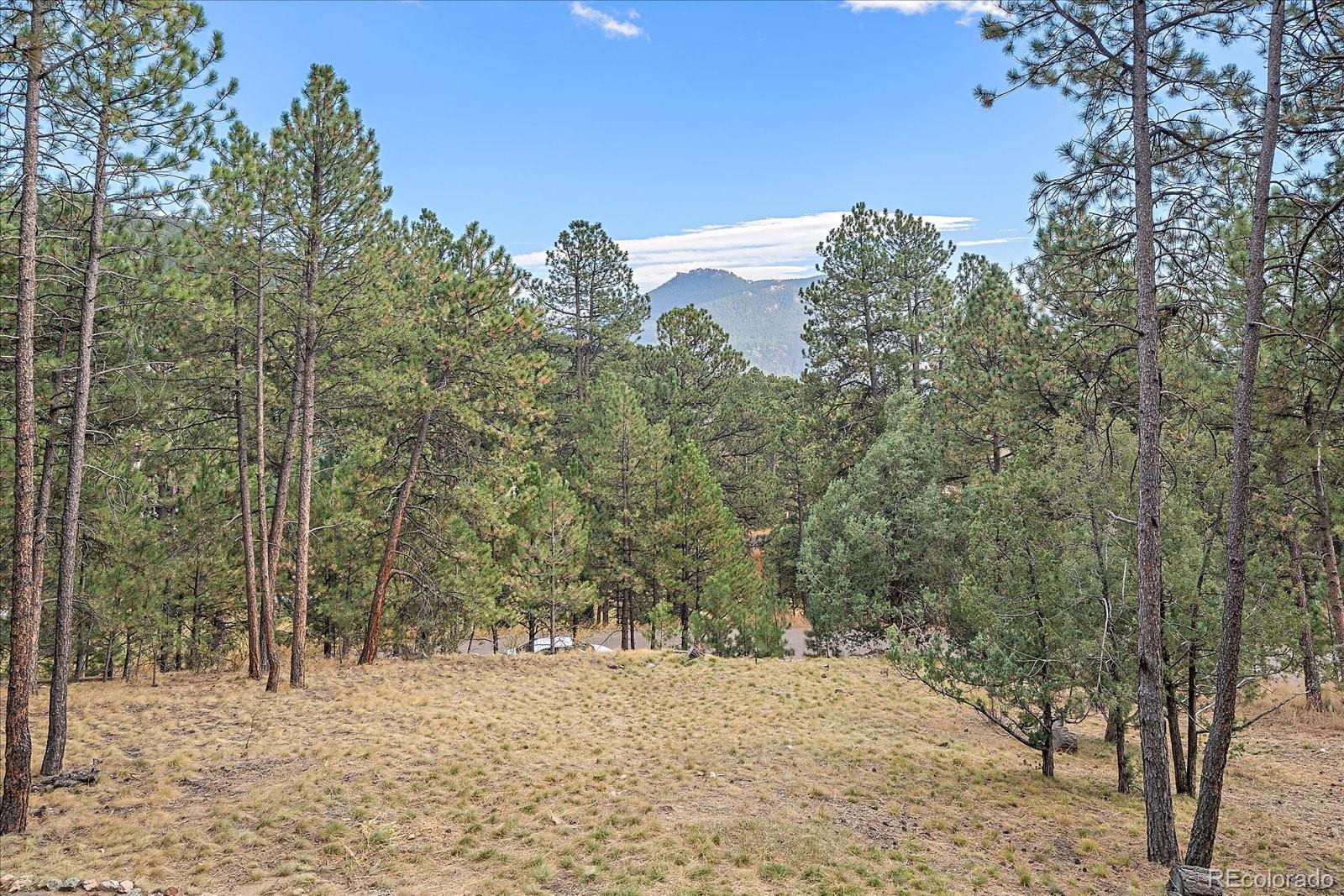 4059 Histead Way Evergreen, CO 80439 - Photo 34 of 37 a view of a road with a trees