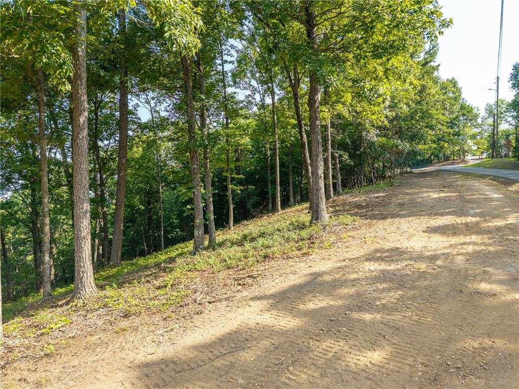 294 Adair Drive Ranger, GA 30734 - Photo 8 of 58 Gallery Image 8