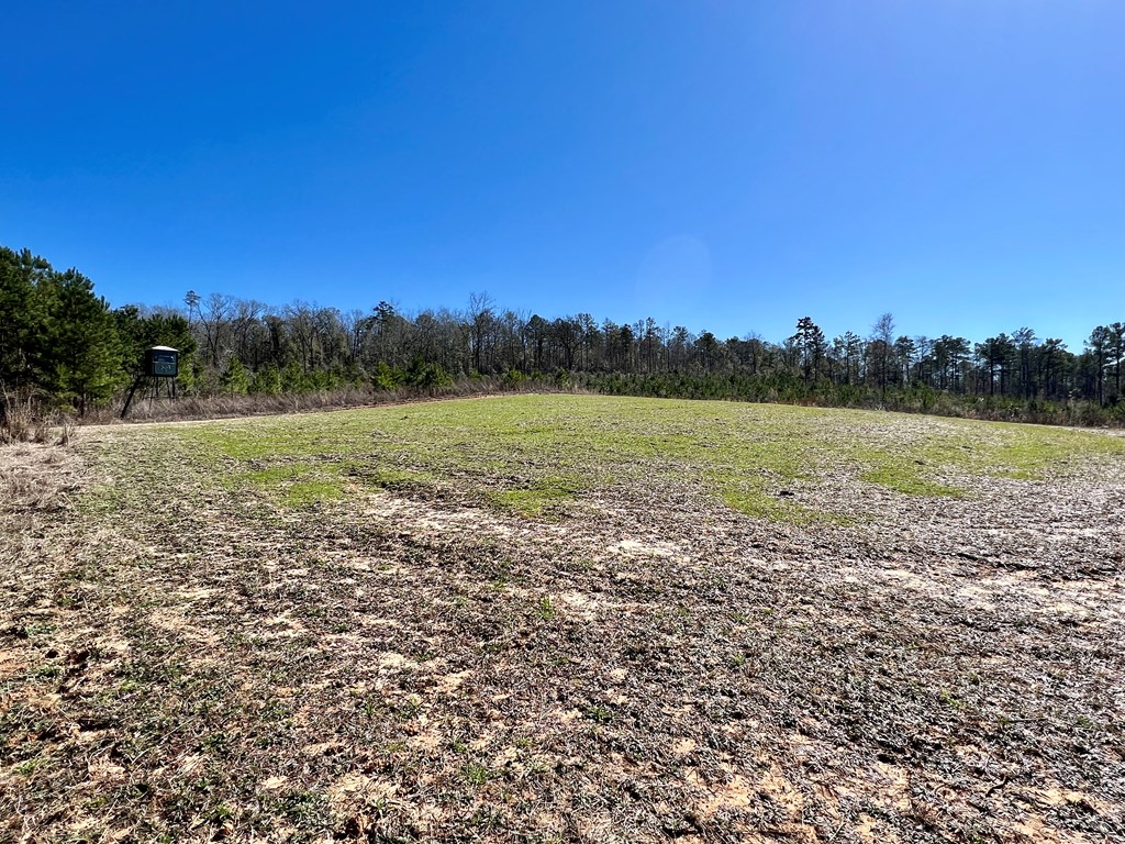 0 County Road 97 Abbeville, AL 36310 - Photo 29 of 53