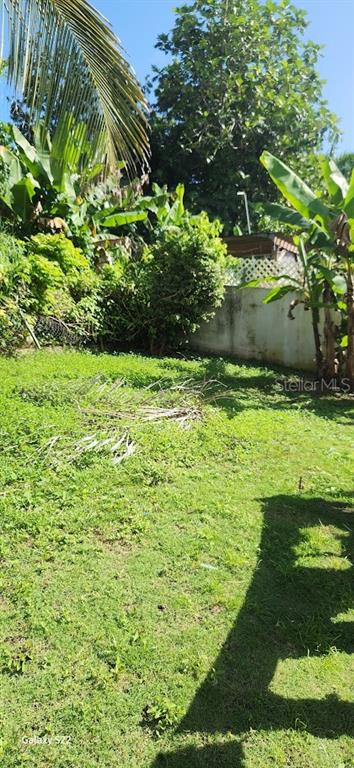 6 Extension Mabu Humacao Prairie, Unit 12 Humacao, PR 00791 - Photo 13 of 14