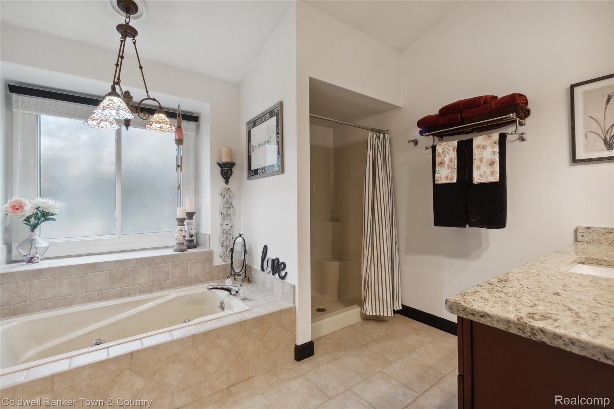 4928 Nature View Court Howell, MI 48843 - Photo 18 of 66 Large Primary Bath