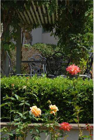 6620 Lago Corte Rancho Santa Fe, CA 92091 - Photo 20 of 22 1.34 ACRES OF ROSES, ORCHARD, MATURE LANDSCAPE...SO MUCH YOU CAN DO