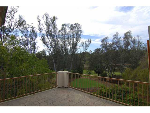 PRIVATE MASTER BALCONY WITH VIEWS OF PARK AND  LAKE; WIRED FOR ANOTHER SPA AS WELL!