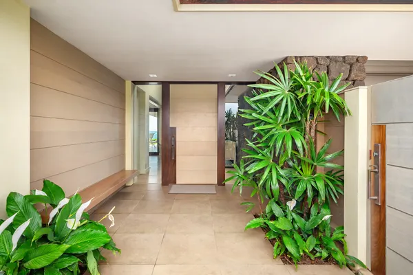 a potted plant sitting in front of a door