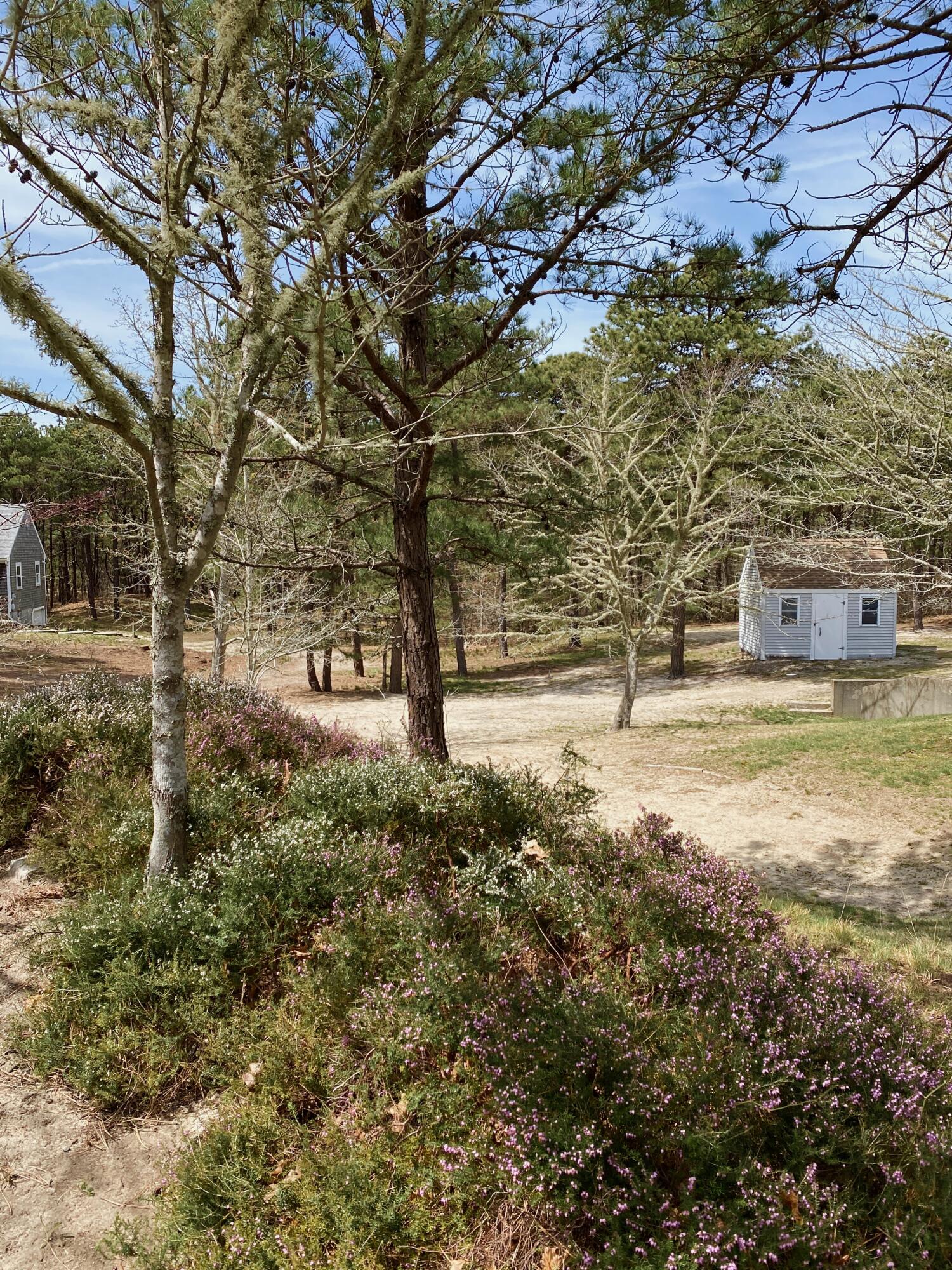 380 Foxwood Drive Eastham, MA 02642 - Photo 35 of 37 a view of a yard with wooden fence