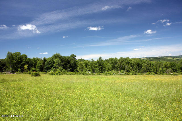 New Turnpike Road Cochecton, NY 12726 - Photo 5 of 9