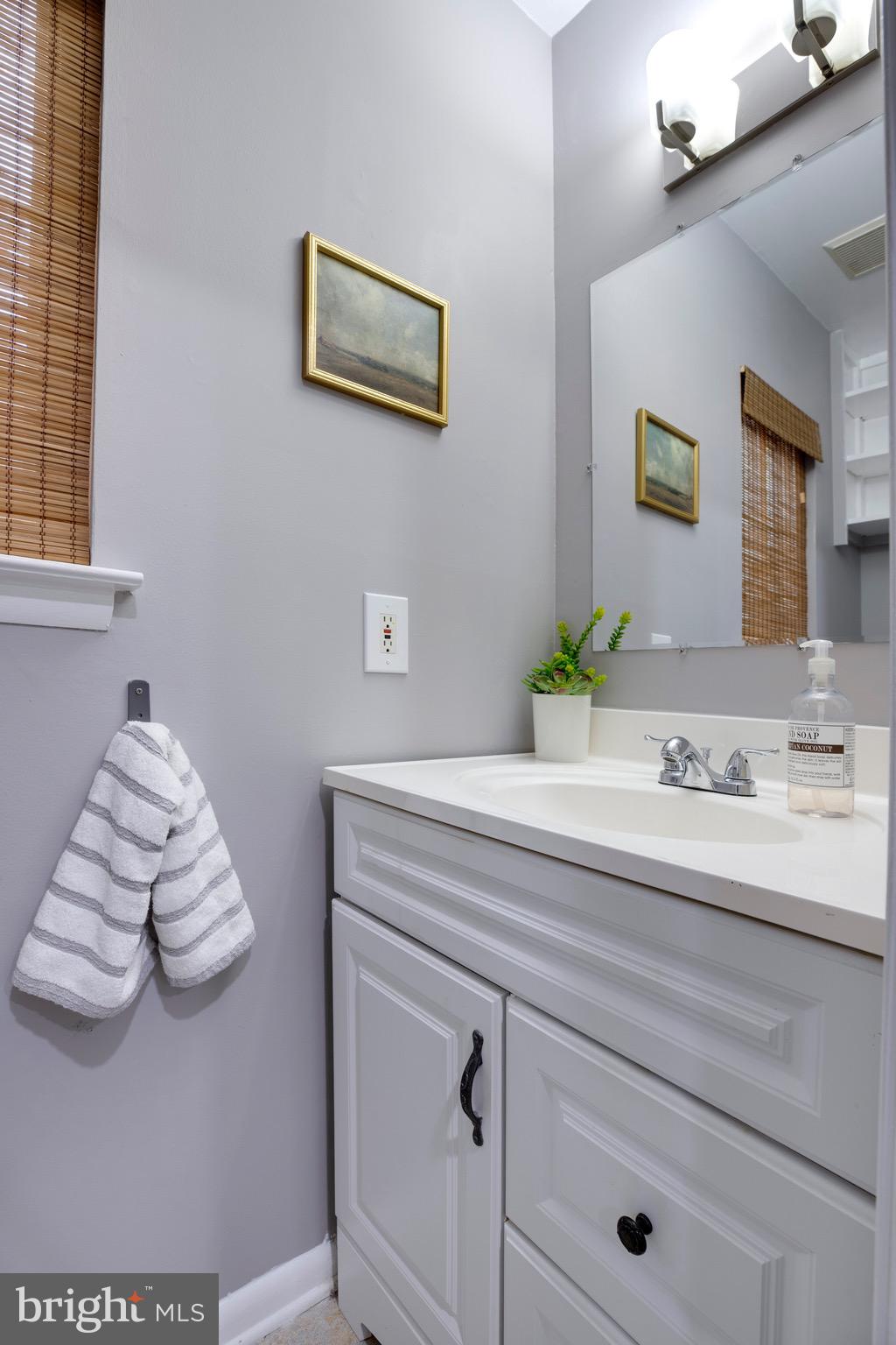 2318 Millennium Lane Reston, VA 20191 - Photo 14 of 34 a bathroom with a sink and a mirror