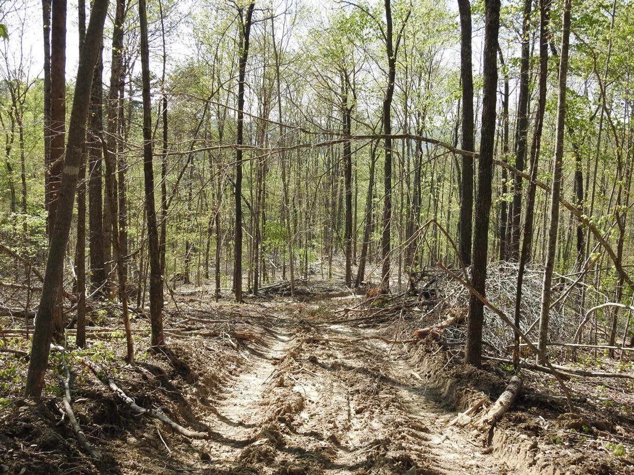 821 Ben Baker Road Somerset, KY 42501 - Photo 4 of 12 821 Ben Baker