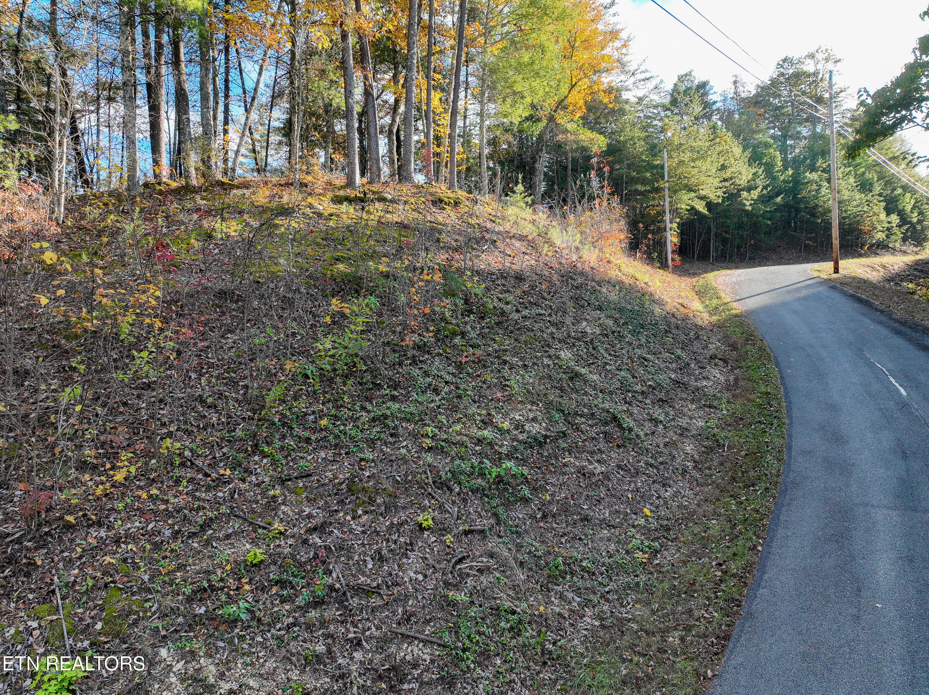 Bear Den Road Townsend, TN 37882 - Photo 5 of 23 DJI_0962