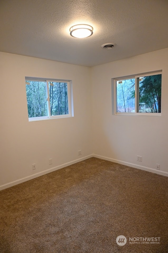529 Peters Road Randle, WA 98377 - Photo 16 of 27 Gallery Image 16