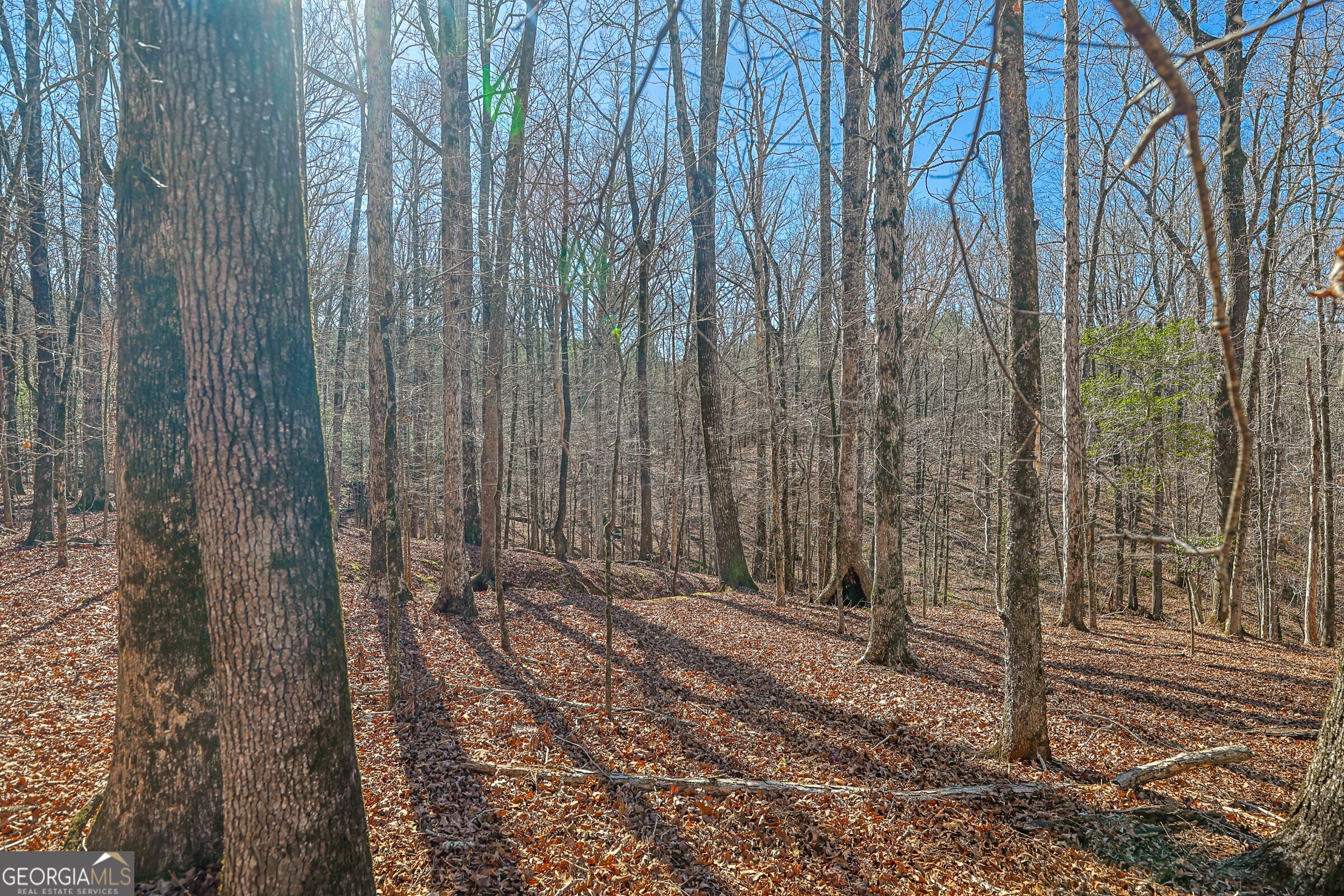 T1-2 Old Zebulon Road Forsyth, GA 31029 - Photo 24 of 60 Gallery Image 24