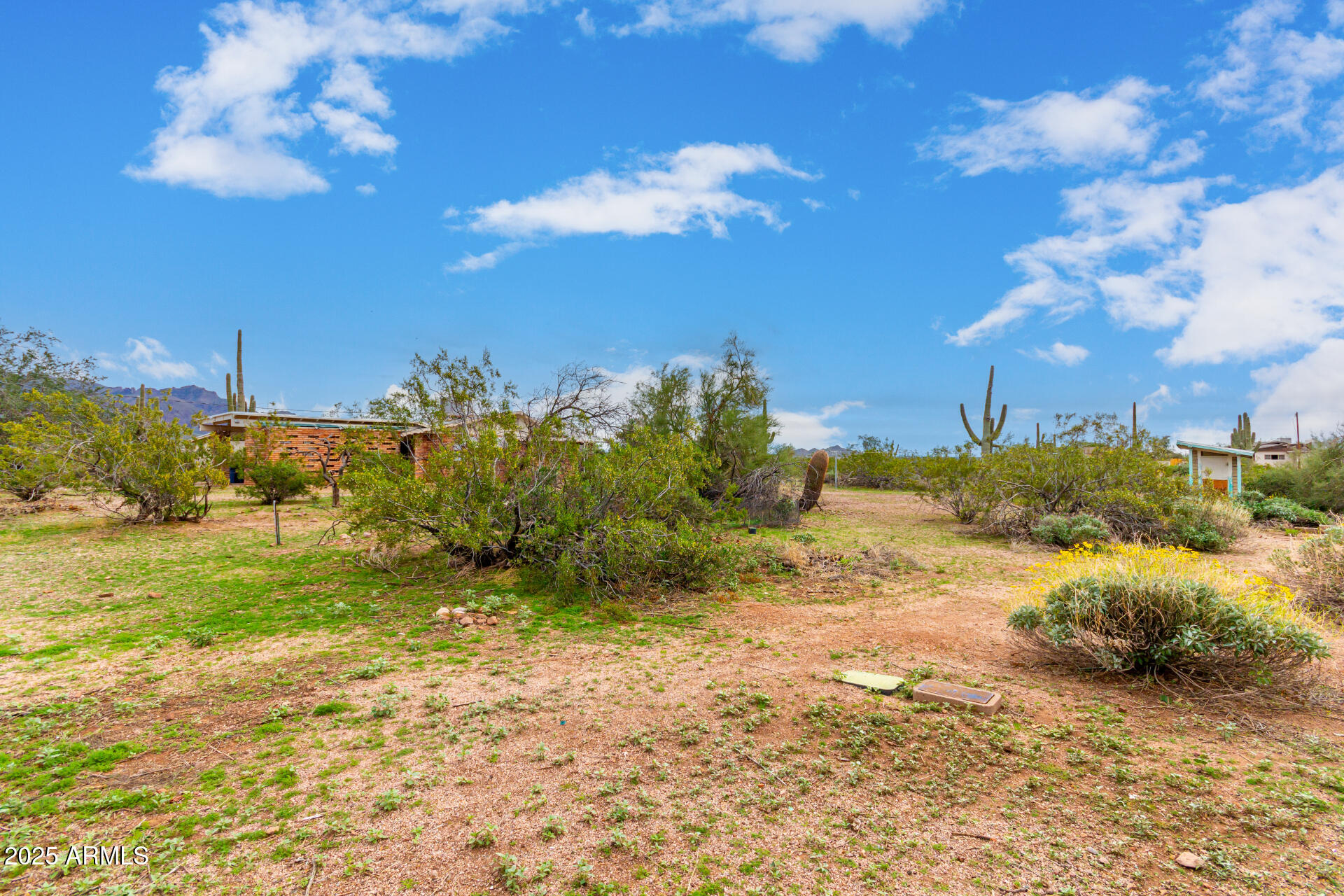1126 North Goldfield Road Apache Junction, AZ 85119 - Photo 2 of 4 a view of a big yard with lots of green space