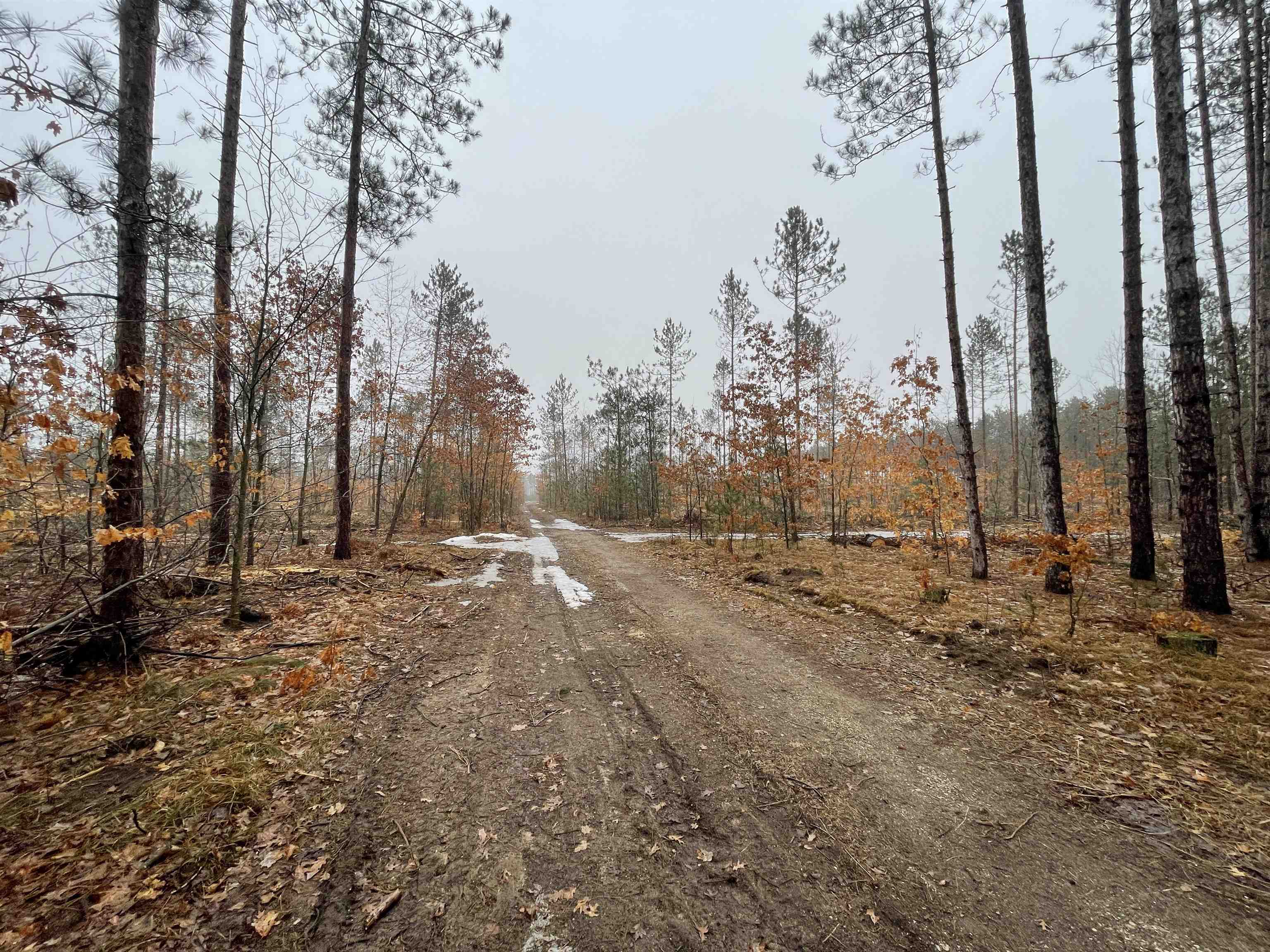 0 34 34 1/2 Road Cadillac, MI 49601 - Photo 4 of 16