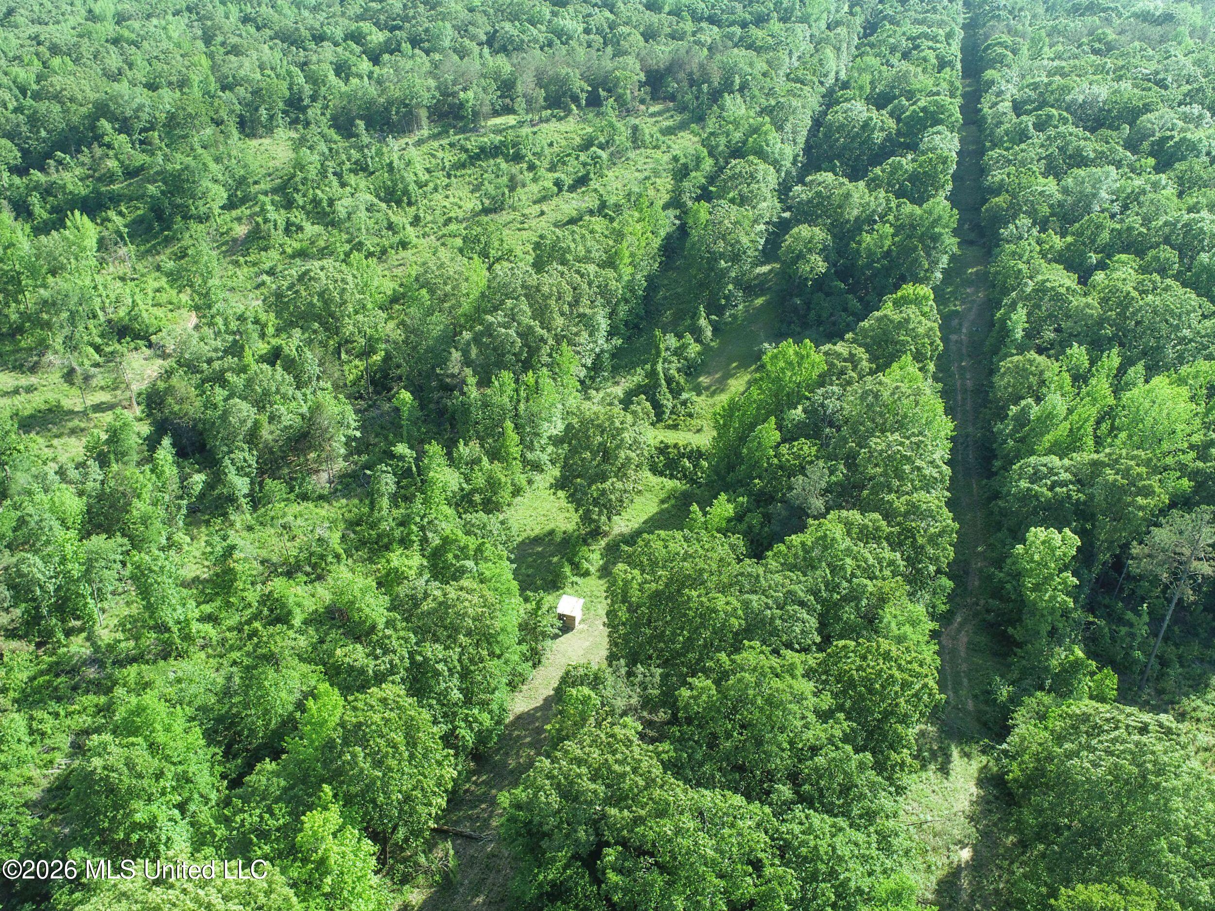 Wayne Massie Road Como, MS 38619 - Photo 63 of 184 3ctwmrd45