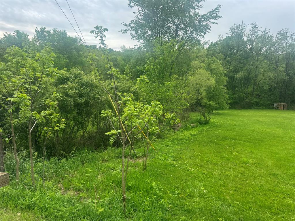 217 Bauder Mill Road Harmony, PA 16037 - Photo 8 of 26