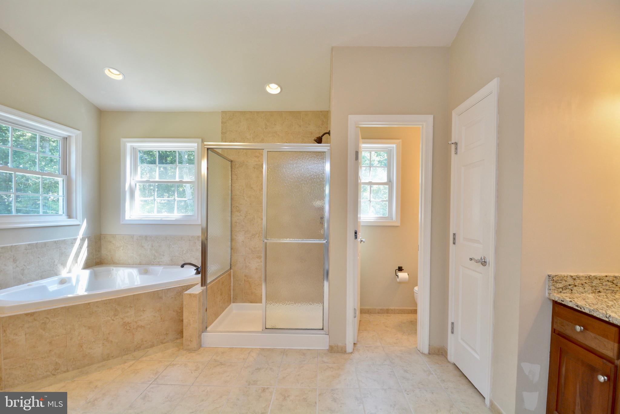 10639 Gunston Road Lorton, VA 22079 - Photo 30 of 58 Master Bath