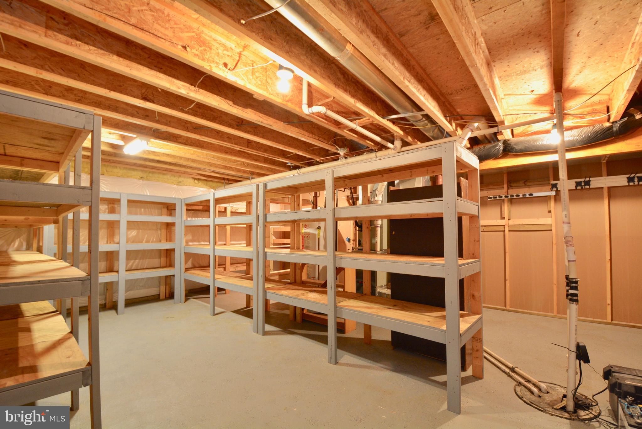 10639 Gunston Road Lorton, VA 22079 - Photo 46 of 58 Lower Level Storage