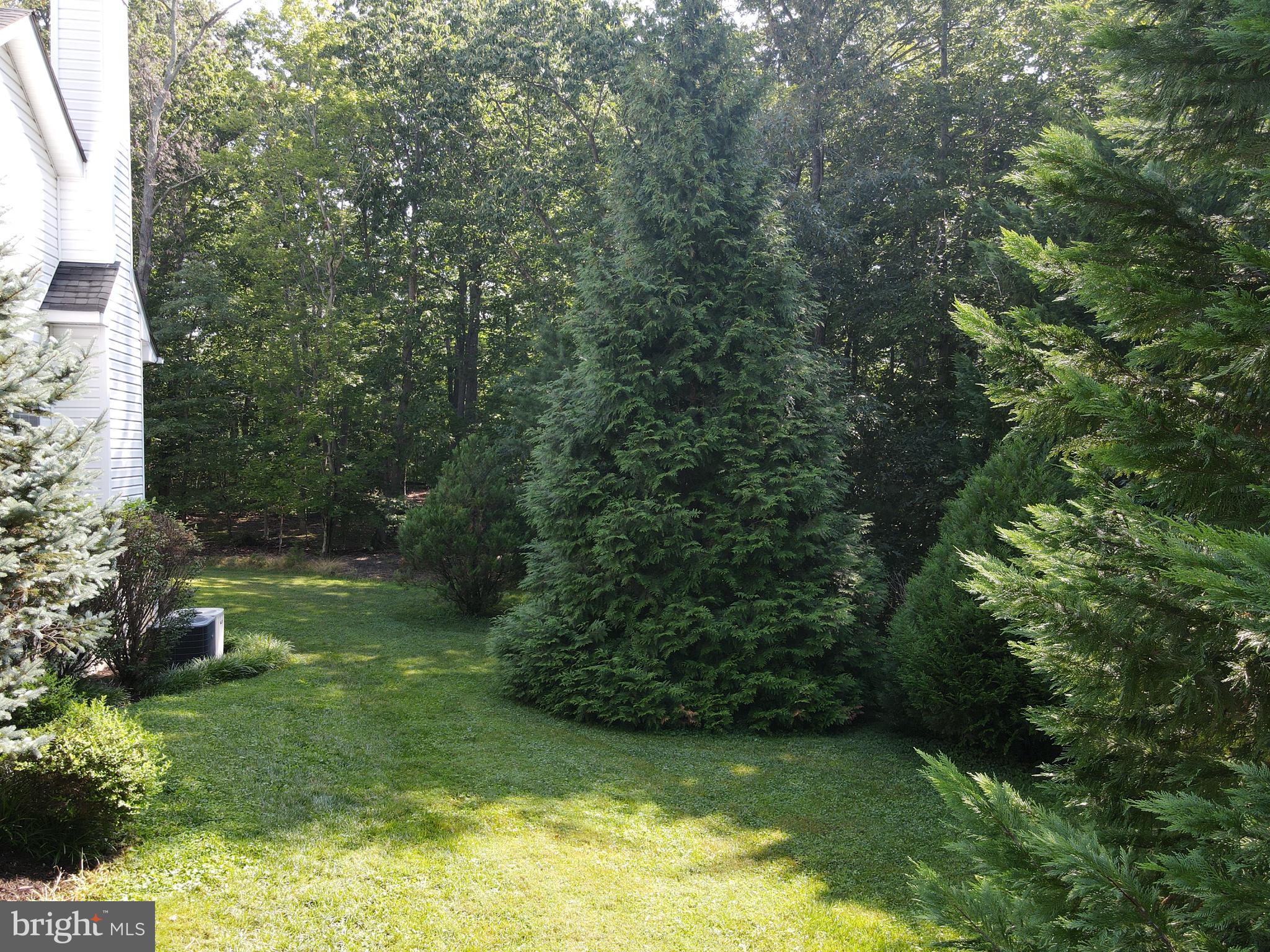 10639 Gunston Road Lorton, VA 22079 - Photo 49 of 58 Gallery Image 49
