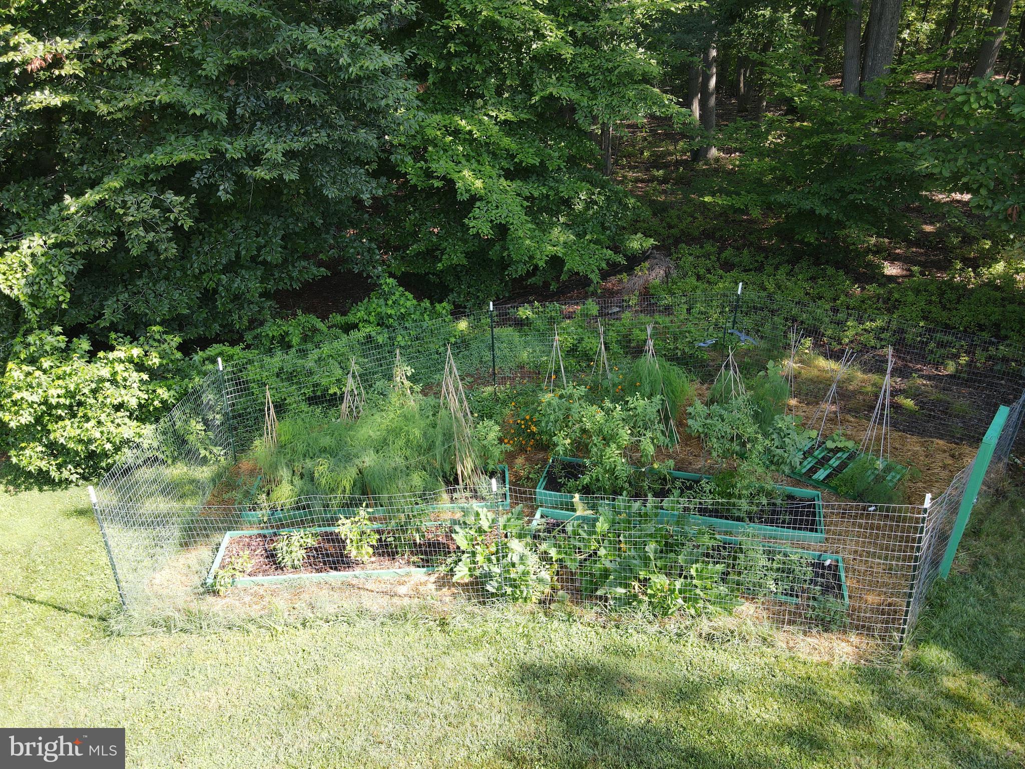 10639 Gunston Road Lorton, VA 22079 - Photo 53 of 58 Gallery Image 53