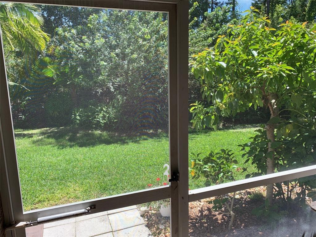 11106 Windsor Pl Circle Tampa, FL 33626 - Photo 11 of 24 a view of a garden from a window