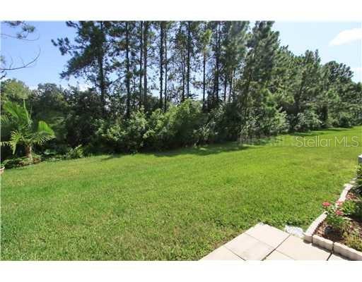 11106 Windsor Pl Circle Tampa, FL 33626 - Photo 12 of 24 a view of backyard with green space