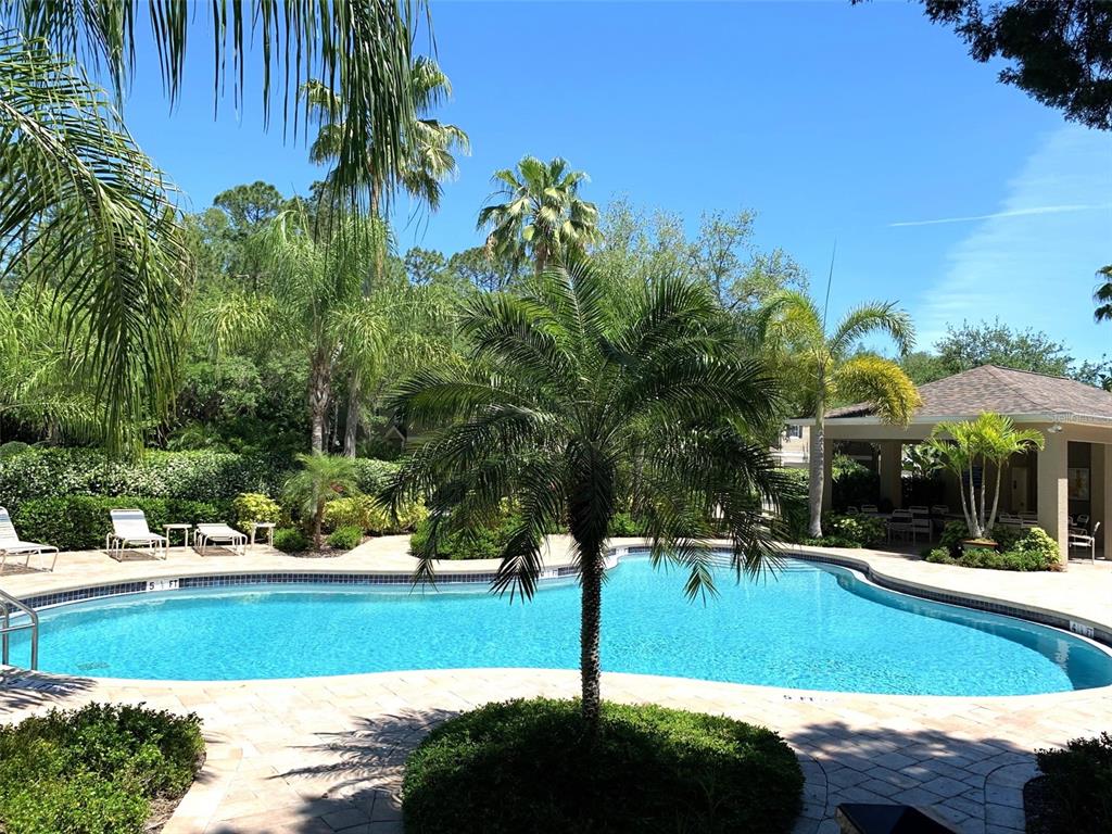 11106 Windsor Pl Circle Tampa, FL 33626 - Photo 23 of 24 a backyard of a house with lots of green space