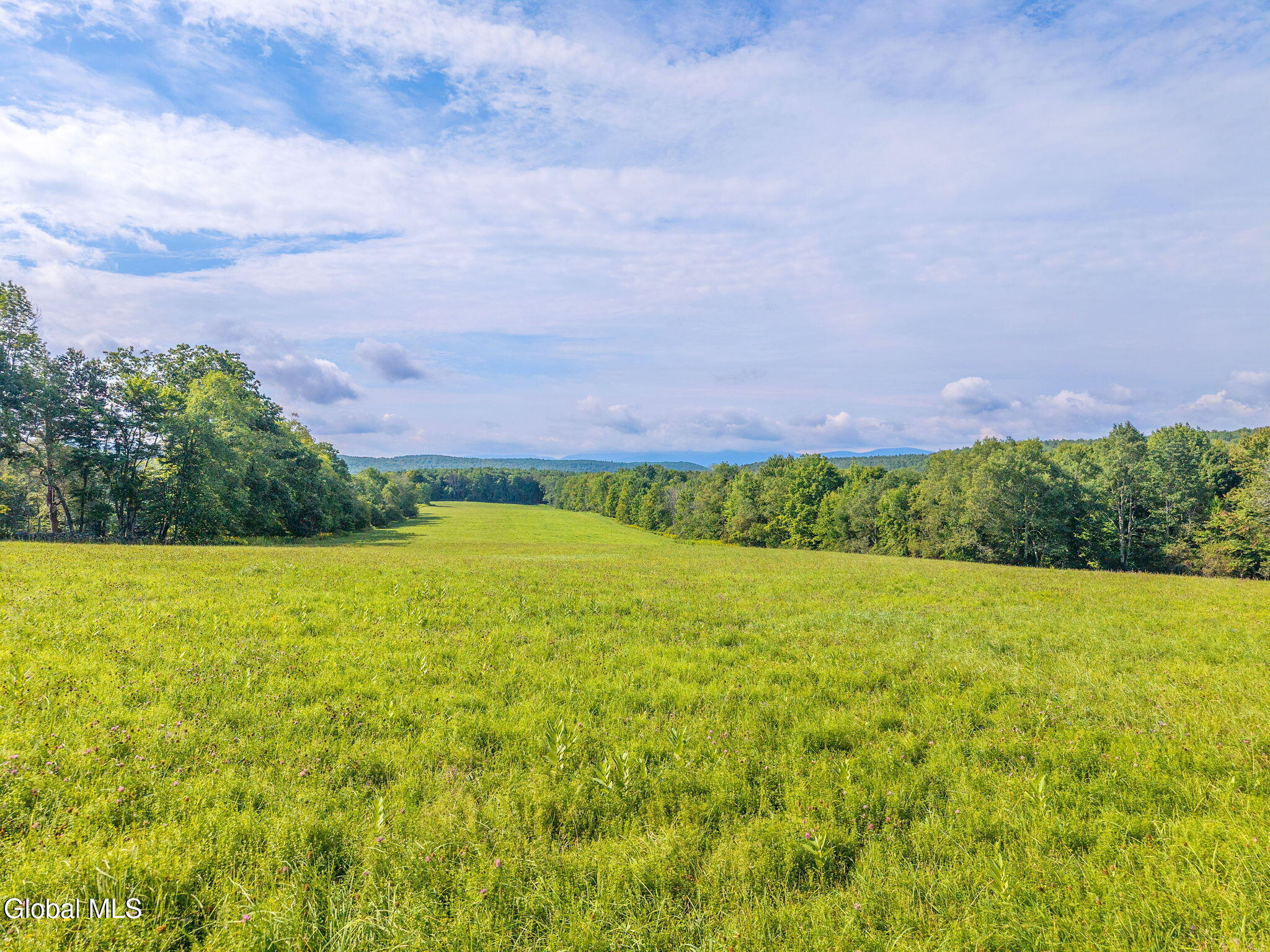 310 Maybie Road Gilboa, NY 12076 - Photo 56 of 67 76-310MaybieRd_076
