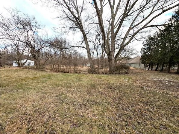 a view of yard with trees