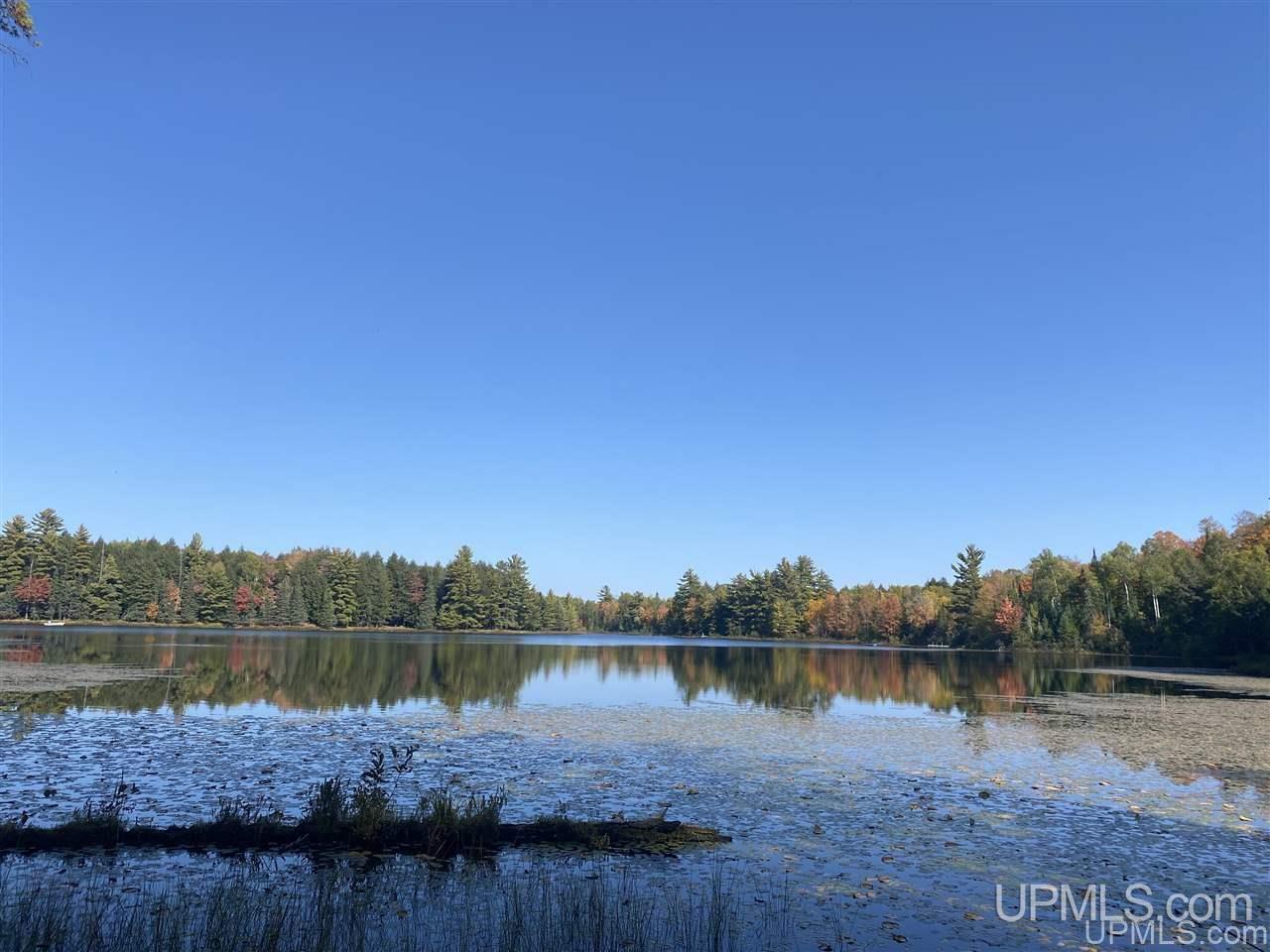 Tbd Tbd Grace Lake Road Watersmeet, MI 49969 - Photo 8 of 16