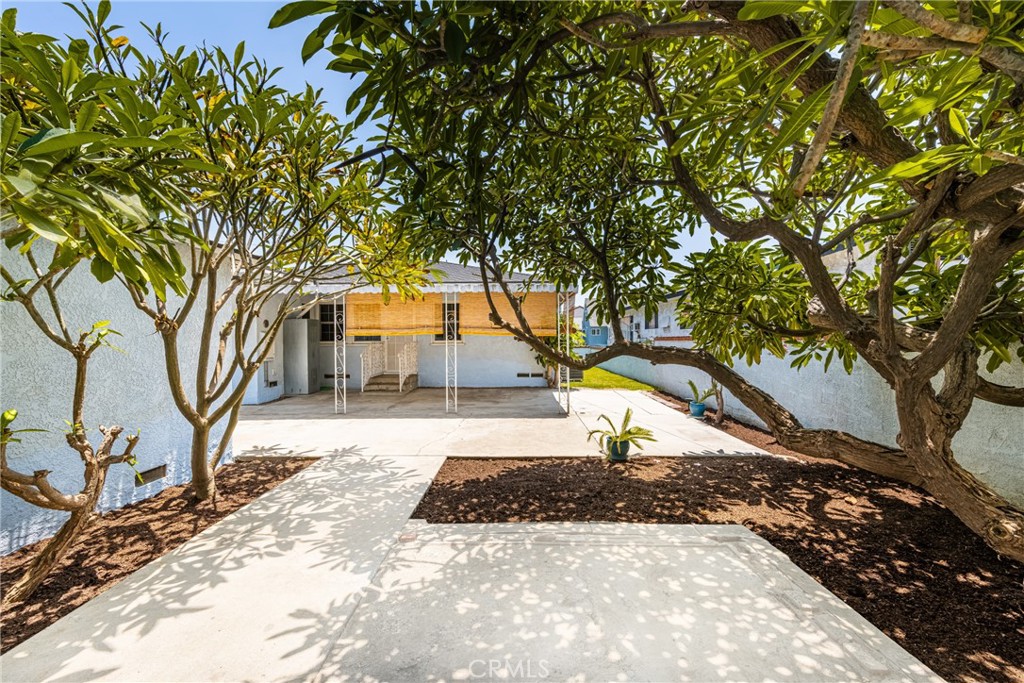 2229 Cowlin Avenue Commerce, CA 90040 - Photo 27 of 34 a view of a yard with plants and a tree