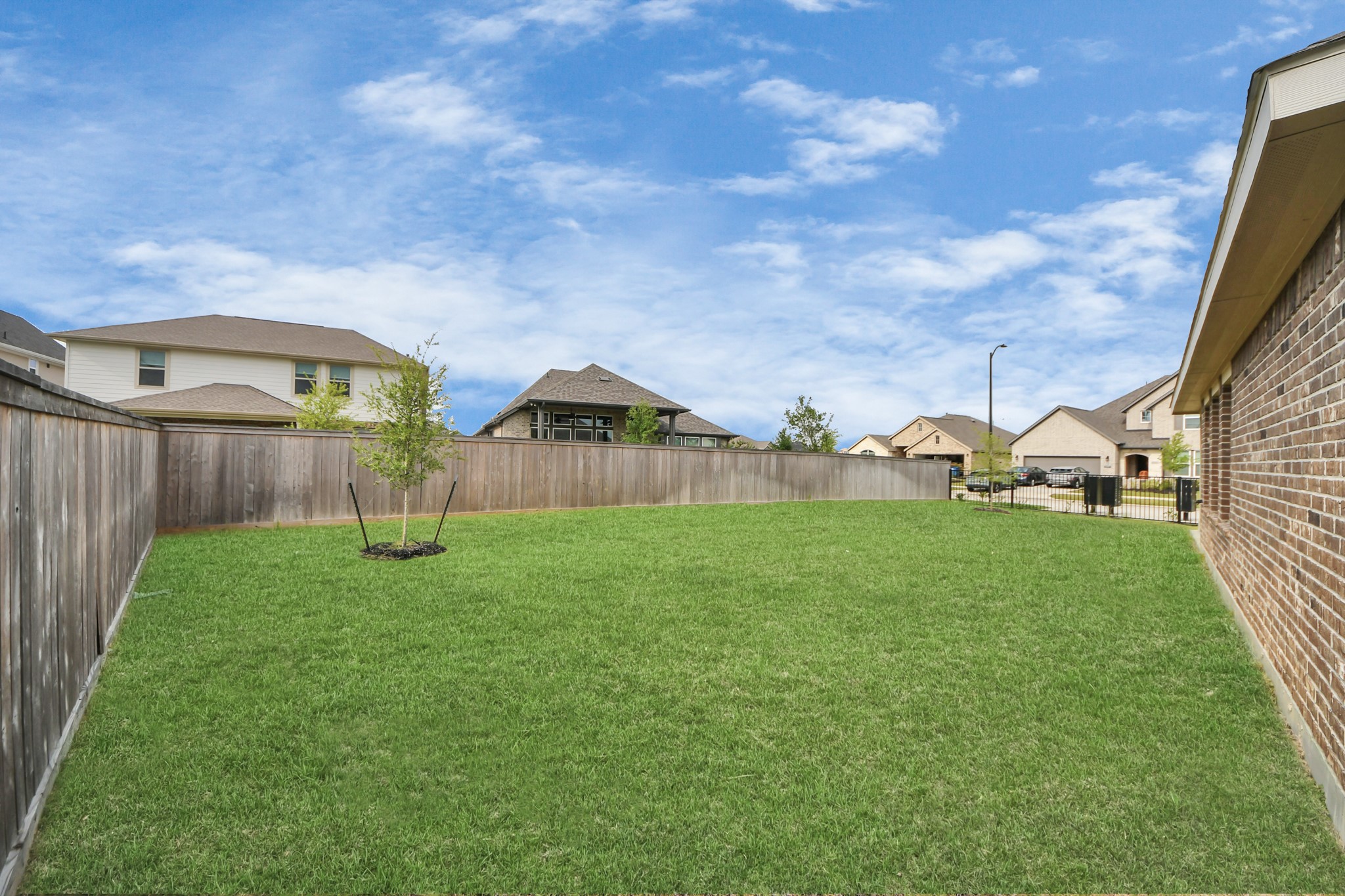 21927 Citrus Grove Cypress, TX 77433 - Photo 8 of 42 a view of backyard with green space