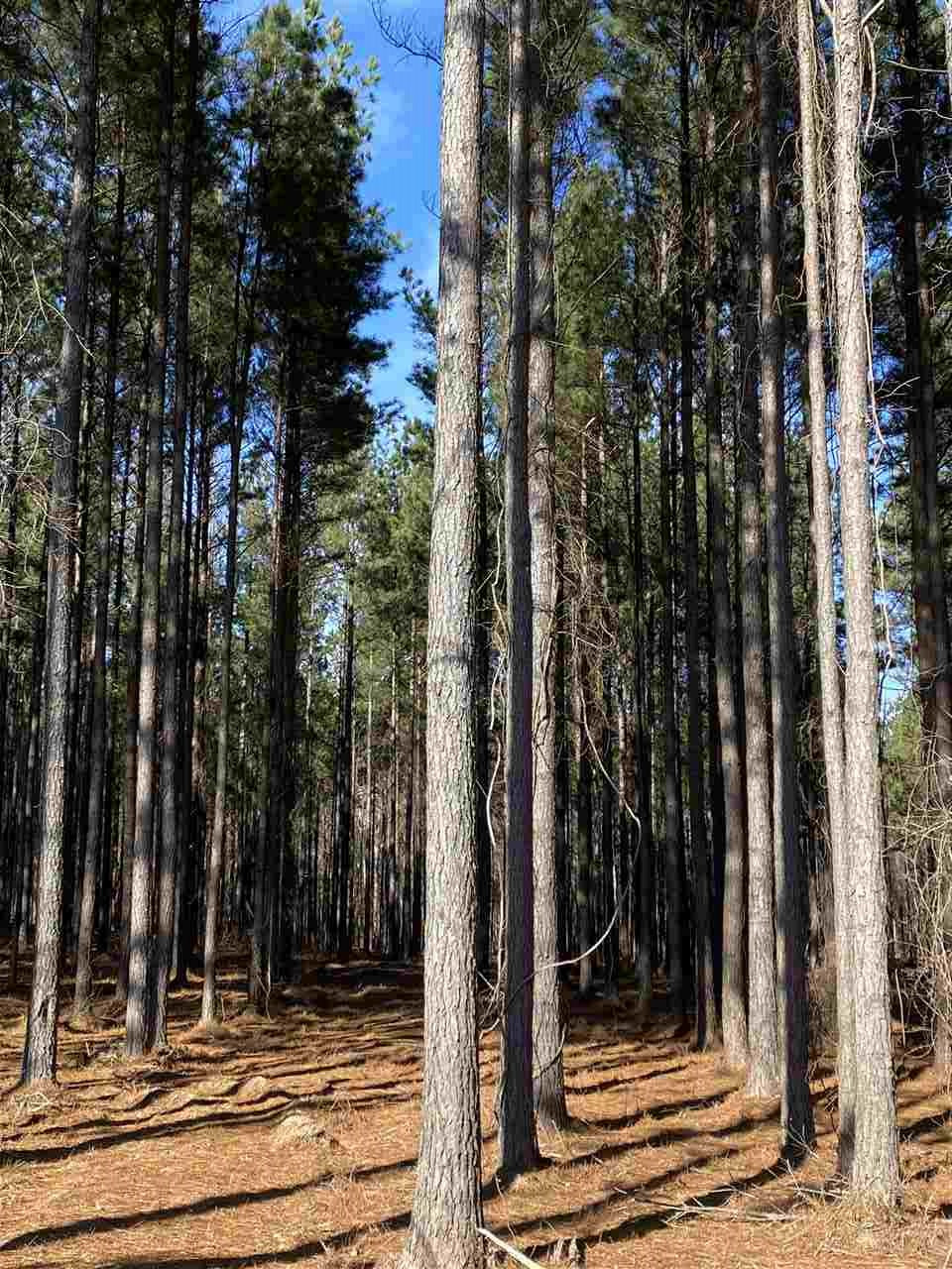 655 Stull Road, Unit 3 Brandon, MS 39047 - Photo 1 of 4 Photo 1