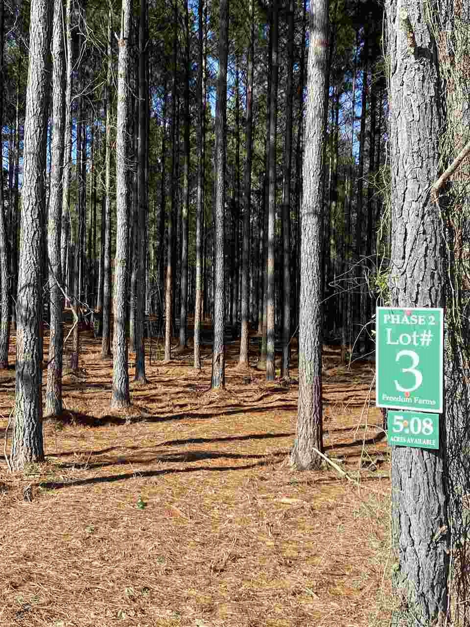 655 Stull Road, Unit 3 Brandon, MS 39047 - Photo 3 of 4 Photo 3