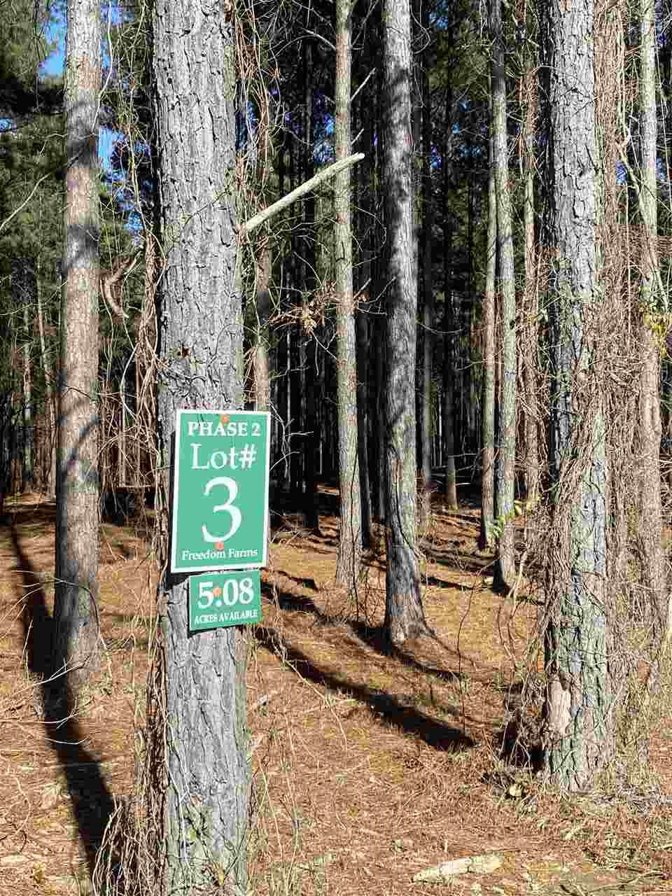 655 Stull Road, Unit 3 Brandon, MS 39047 - Photo 4 of 4 Photo 4