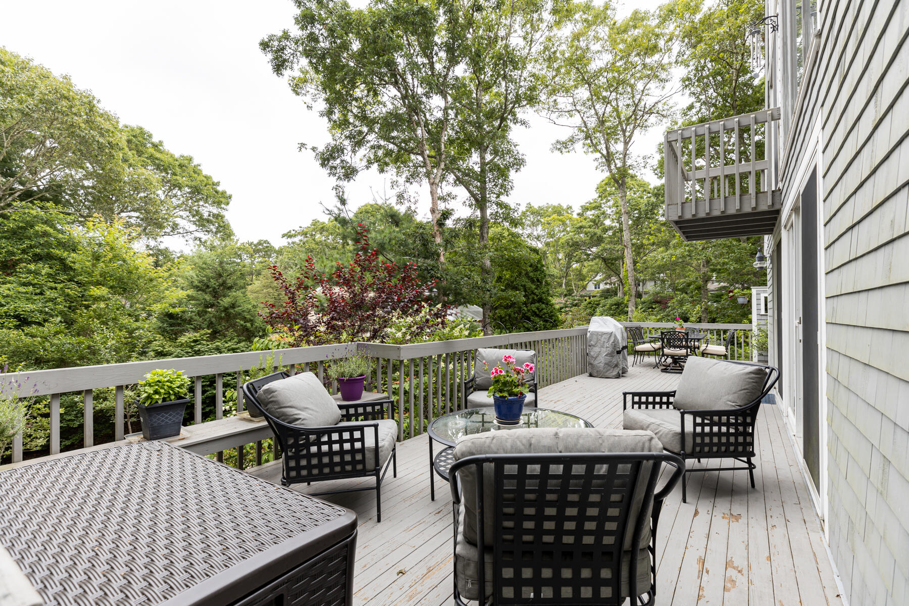 157 Greensward Road Mashpee, MA 02649 - Photo 56 of 75 157GreenswardRdMashpee-6846
