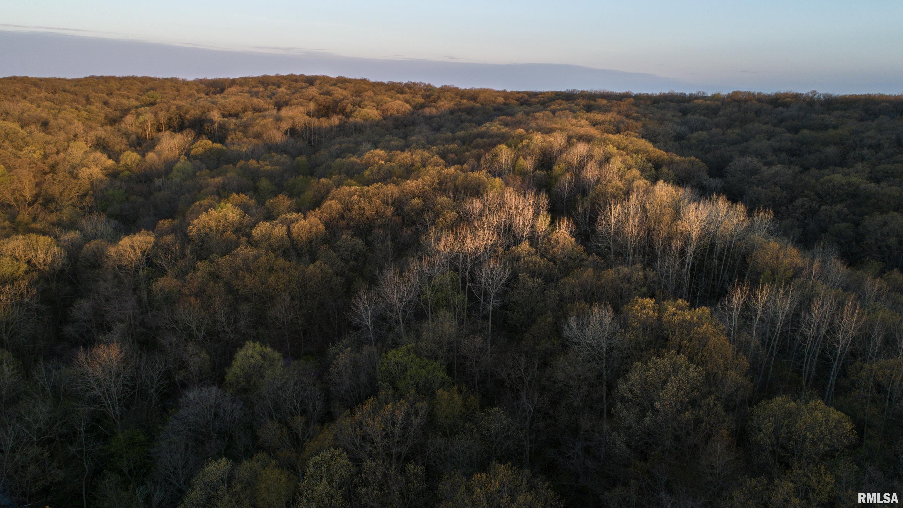 16829 North Staab Road Chillicothe, IL 61523 - Photo 45 of 55
