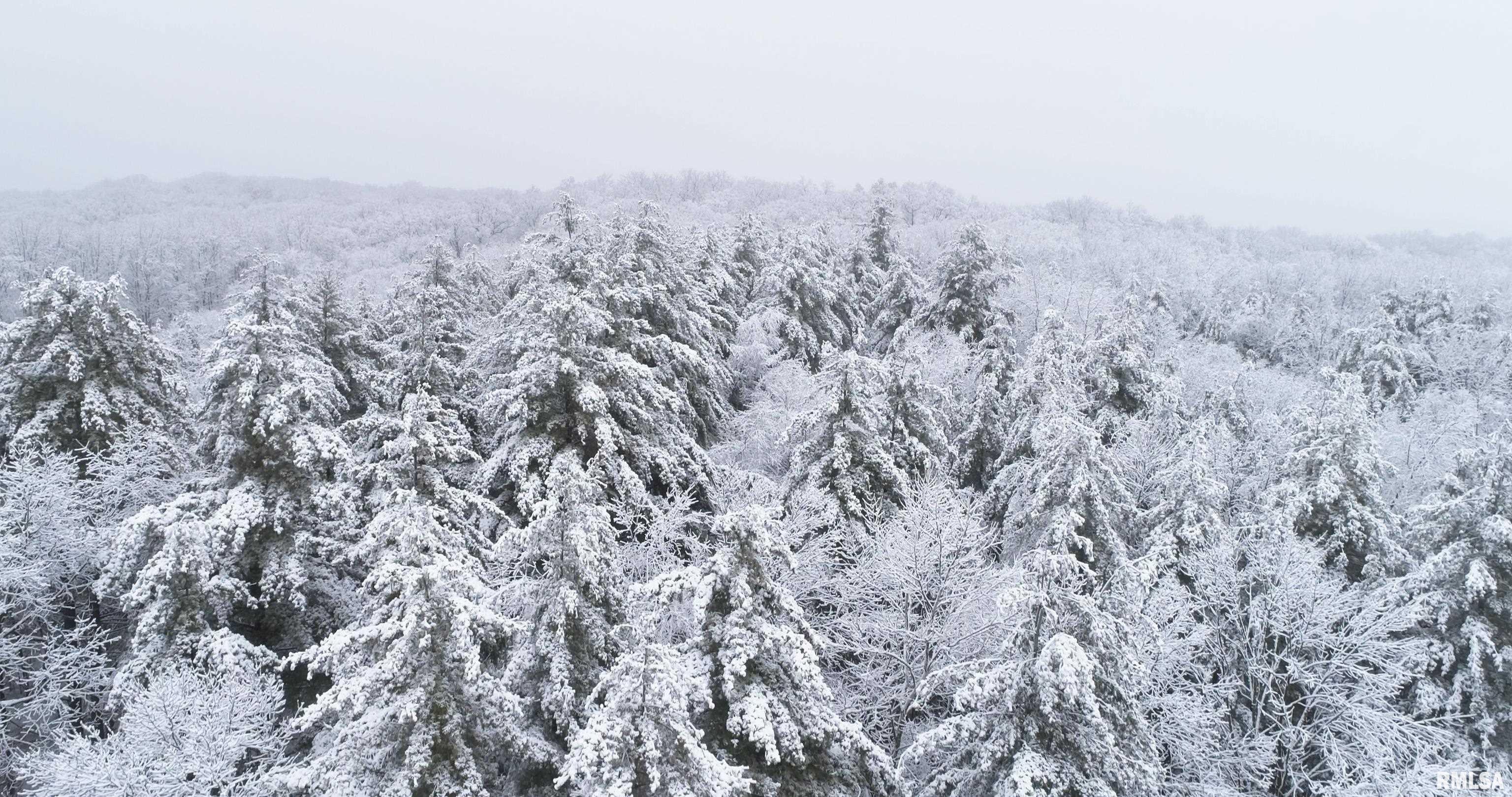 16829 North Staab Road Chillicothe, IL 61523 - Photo 46 of 55