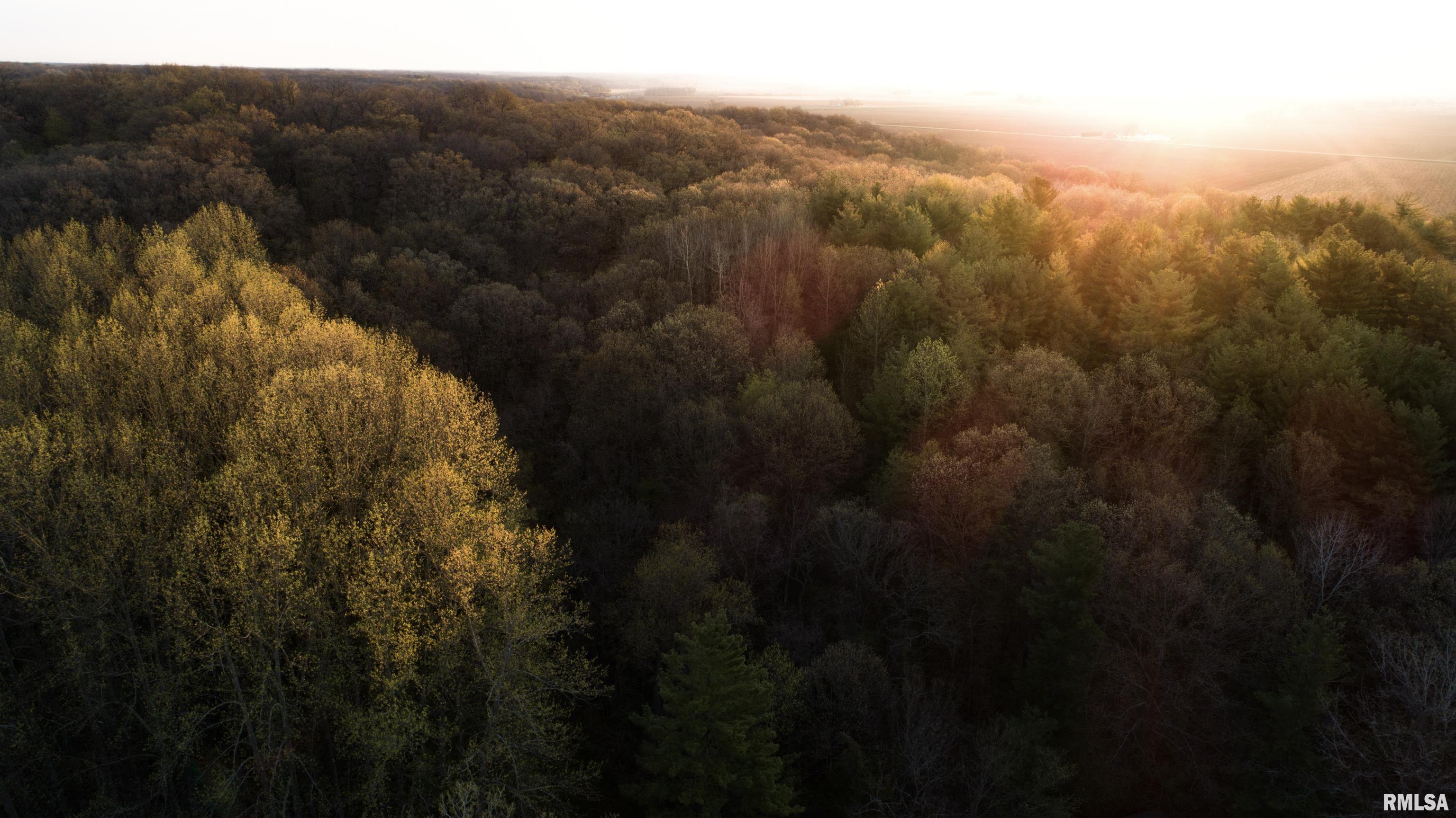 16829 North Staab Road Chillicothe, IL 61523 - Photo 48 of 55