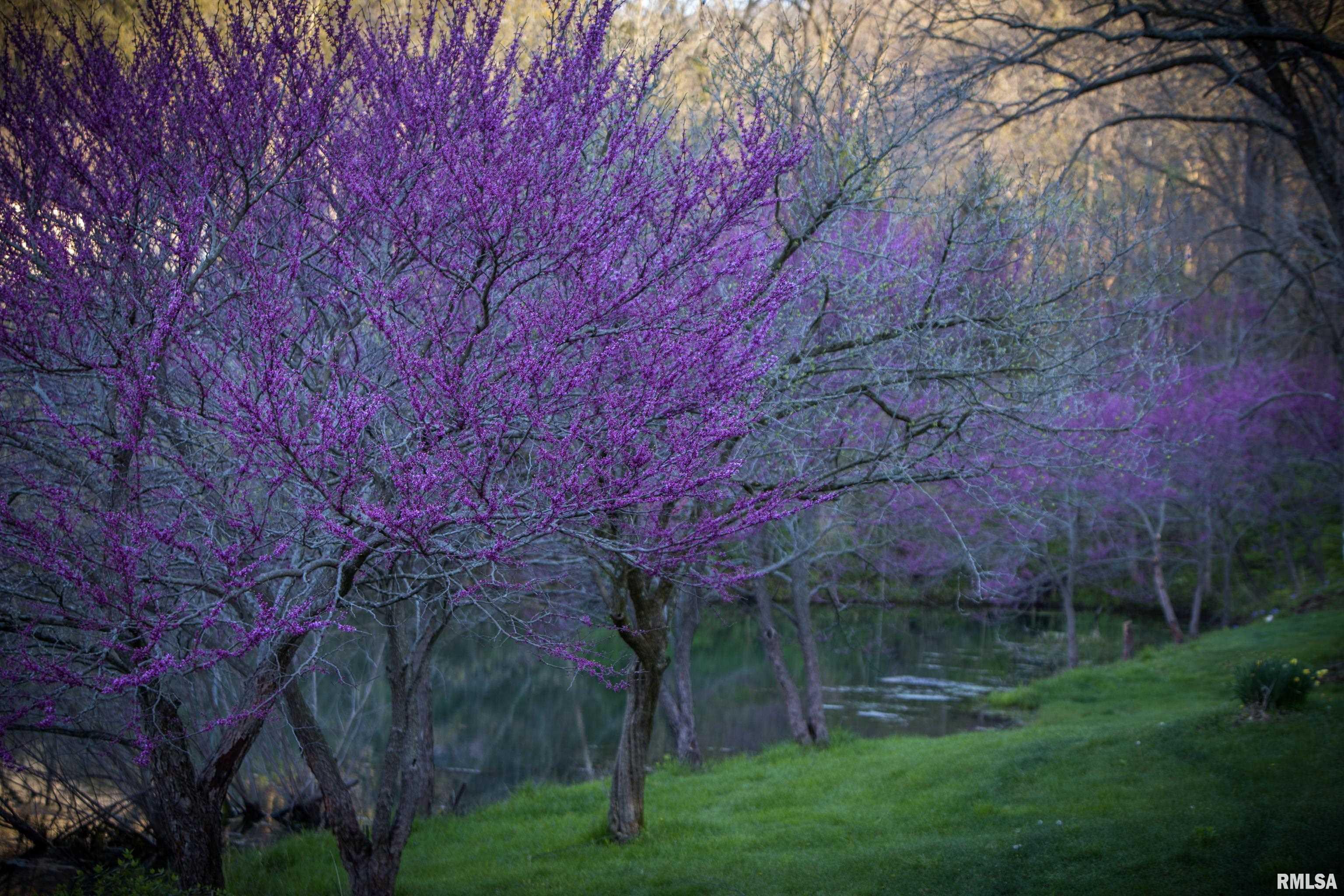 16829 North Staab Road Chillicothe, IL 61523 - Photo 54 of 55