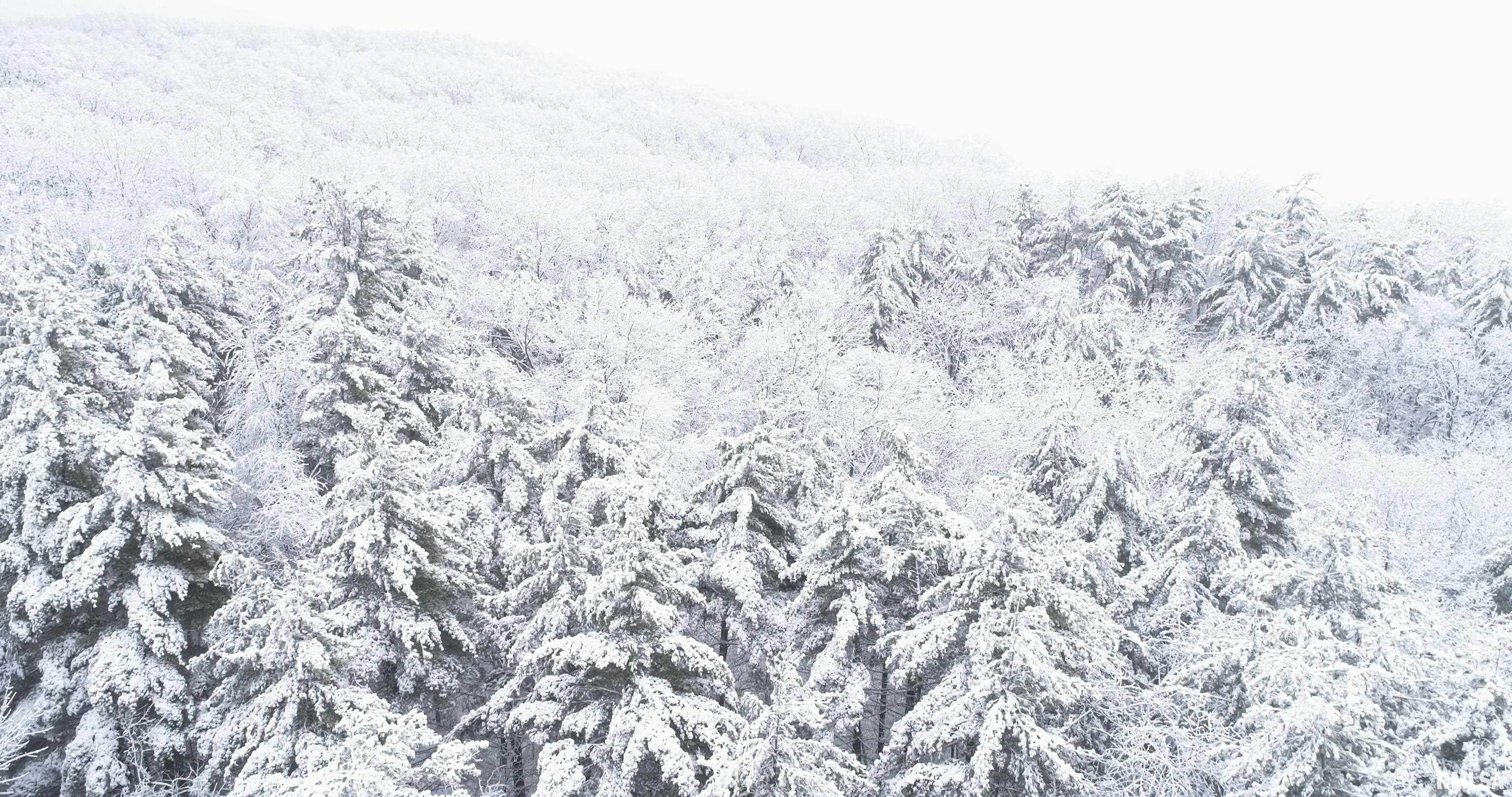 16829 North Staab Road Chillicothe, IL 61523 - Photo 8 of 55