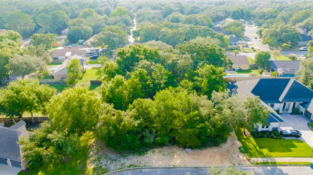 a view of a garden with plants