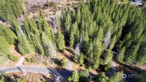 $50,000 | 8 Lahar Lane, Cougar, WA 98616